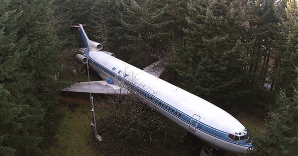 Người đàn ông mua lại chiếc máy bay bị bỏ hoang, sống một mình trong cabin rộng suốt 21 năm: “Đây mới đích thực là ngôi nhà cổ tích”
